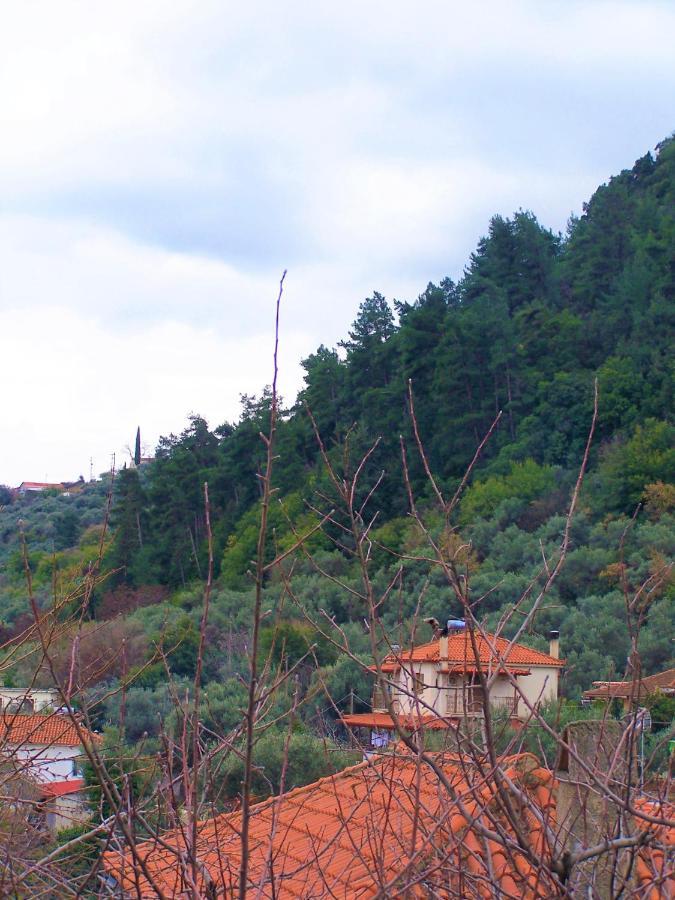 Ανεξαρτητο Studio Στο Ομορφο Καστορειο Kastorion Esterno foto